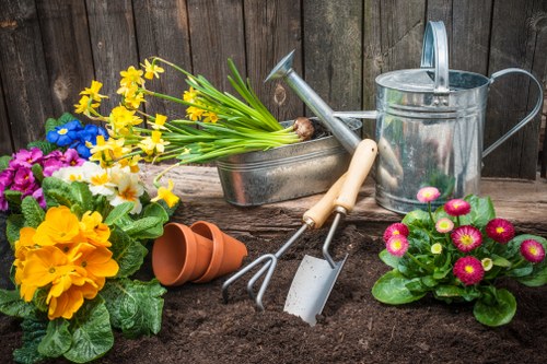 Gardening services in Hayes homepage image