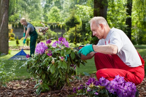 Garden maintenance team pruning shrubs in a Hayes neighbourhood