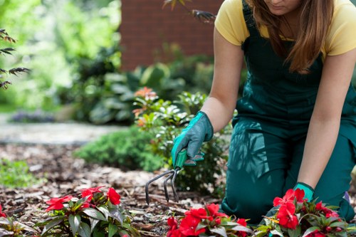 Professional gardeners maintaining a lush lawn in Hayes