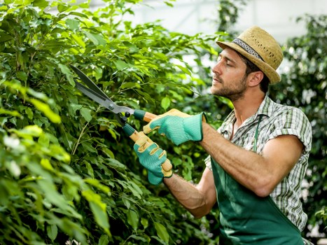 Training session for gardeners with supervisor demonstrating equipment